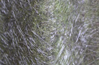 Leswalt fibreglass roof work